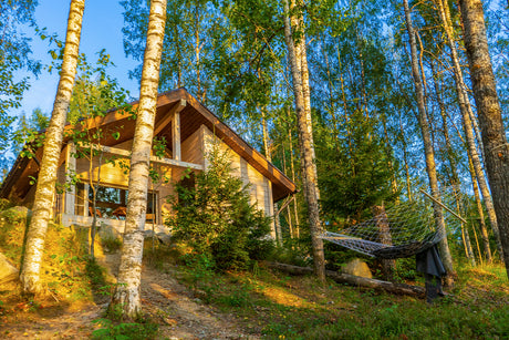 forest cabin with sun shining