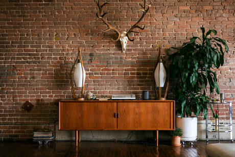 deer skull mount on brick wall