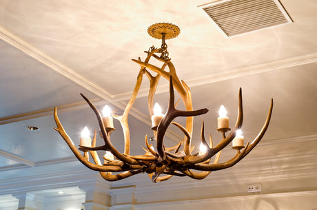 elk antler chandelier