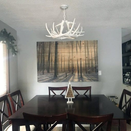 Whitetail 6 White Antler Chandelier