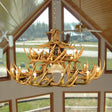 30 Antler Whitetail Chandelier