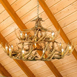 30 Antler Whitetail Chandelier