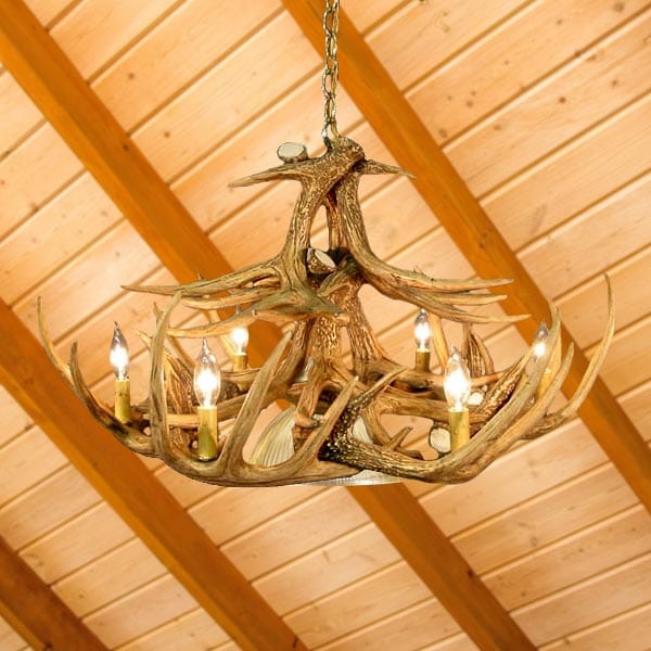 12 Antler Whitetail Chandelier