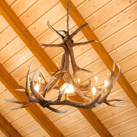 6 Antler Elk Chandelier