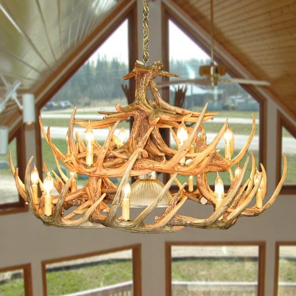 24 Antler Whitetail Chandelier