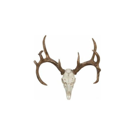 European Whitetail Deer Mount