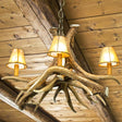 Mule Deer 4 Antler Chandelier with Rawhide Shades