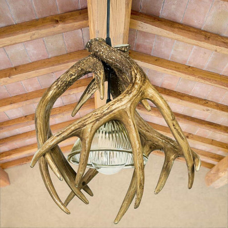 Whitetail Deer 3 Antler Pendant Light