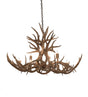 45" Mule Deer 10 Light Antler Chandelier