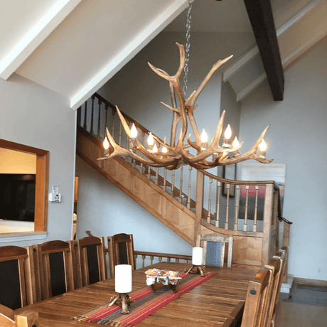 Authentic Elk Antler Chandelier - Extra Large