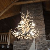 Authentic Mule Deer Chandelier - Extra Large