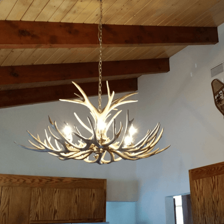 Authentic Mule Deer Single Tier Chandelier - Extra Large