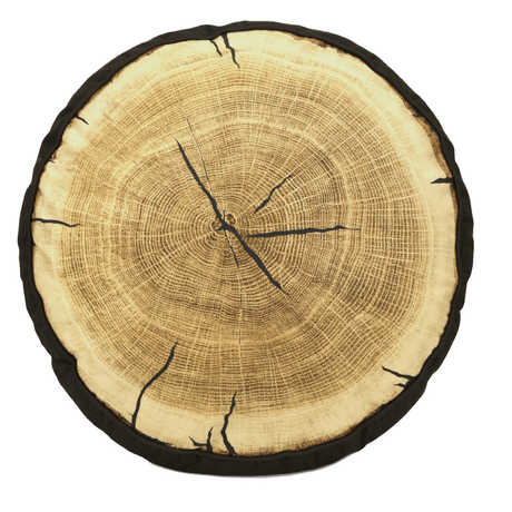 Bear Portrait Tree Ring Pillow