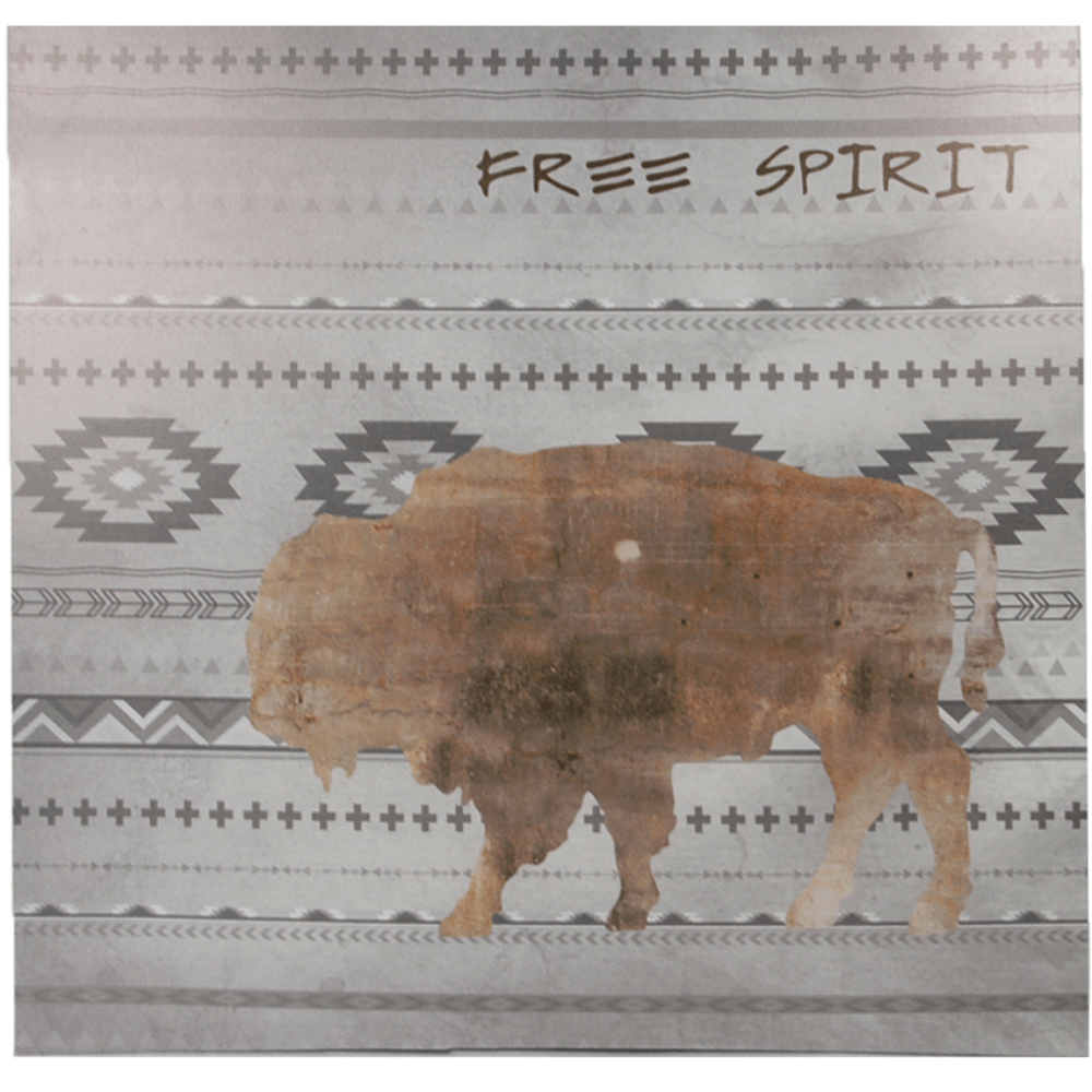 Buffalo Spirit Canvas